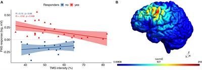 Determinants of Inter-Individual Variability in Corticomotor Excitability Induced by Paired Associative Stimulation